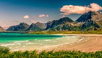 Lofoten Noorwegen von Hamperium Photography Miniaturansicht