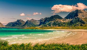 Lofoten Noorwegen van Hamperium Photography