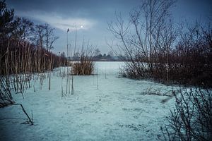 Frozen lakes van Michel de Jonge