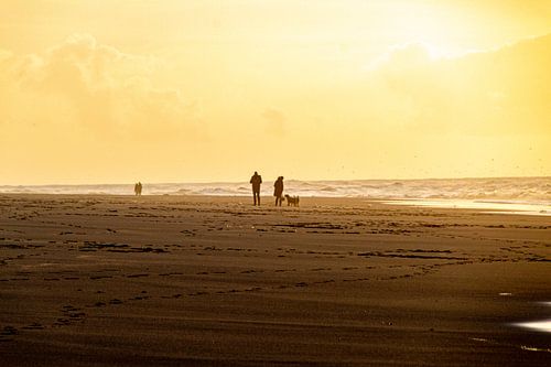 Beach walk with the dog