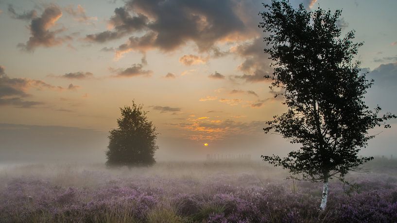 De Reghteheide by Lia Lavoir