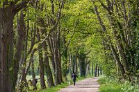 Voorjaarswandeling