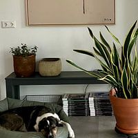 Customer photo: A  by Martin Groenhout, on canvas