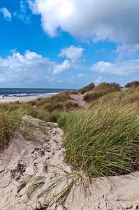 Märchenhafte Dünen an der Nordsee in Dänemark 