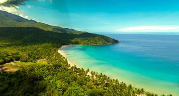 Drone kunst van Puerto Princessa - Nagtabon Beach in Palawan, Filipijnen van Surreal Media