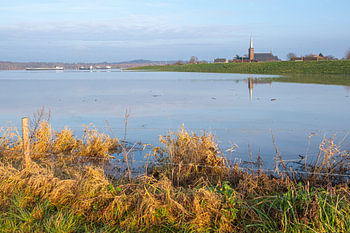 Hochwasser im Rhein bei den Heterensche Waarden