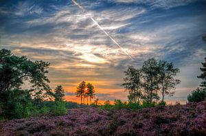 Zonsondergang Landgoed Den Treek/Henschoten, Leusden