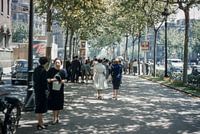 Fashion 50s