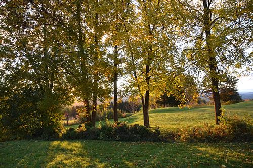 In de tuin op een herfstochtend
