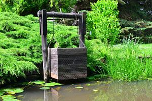 Fischreuse im Spreewald