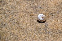 In the sand