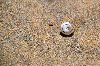 In the sand