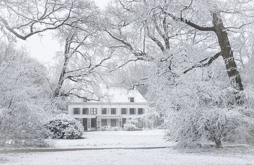 Een winterwonderland op Landgoed Nieuw-Amelisweerd