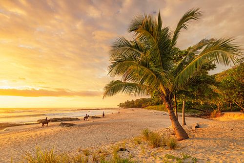 Playa Santa Teresa at sunset, Costa Rica