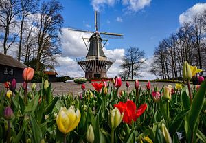 Keukenhof Park an einem schönen Frühlingstag