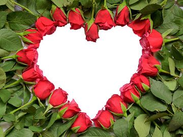 Hart gemaakt van rode rozen op steel