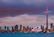 Toronto Skyline par Henk Meijer Photography Aperçu