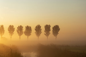 Sonnenaufgang im Nebel