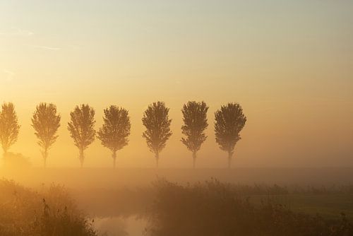 Sonnenaufgang im Nebel