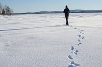 Winterwanderung auf dem zugefrorenen See in Schwedisch-Lappland