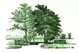 Paysage vert sur Hans Levendig (lev&dig fotografie)