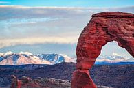De besneeuwde bergtoppen van de Rocky Mountains achter de Delicate Arch van Rietje Bulthuis thumbnail