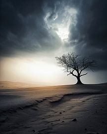 Aesthetic minimalism