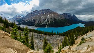 Der Lake Peyto in den Rocky Mountains
