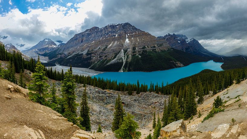 Lake Peyto in de Rocky Mountains van Roland Brack
