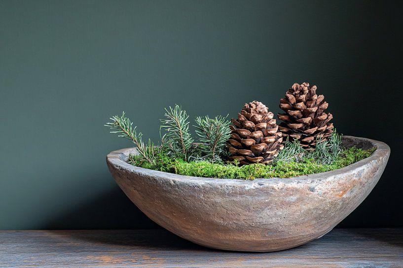 Rustikale Schale mit Tannenzapfen von Imperial Art House