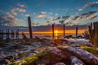 The mudflats