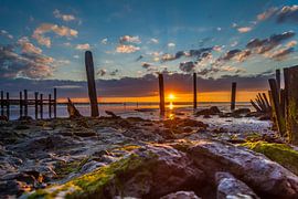 het Wad van Johan Habing
