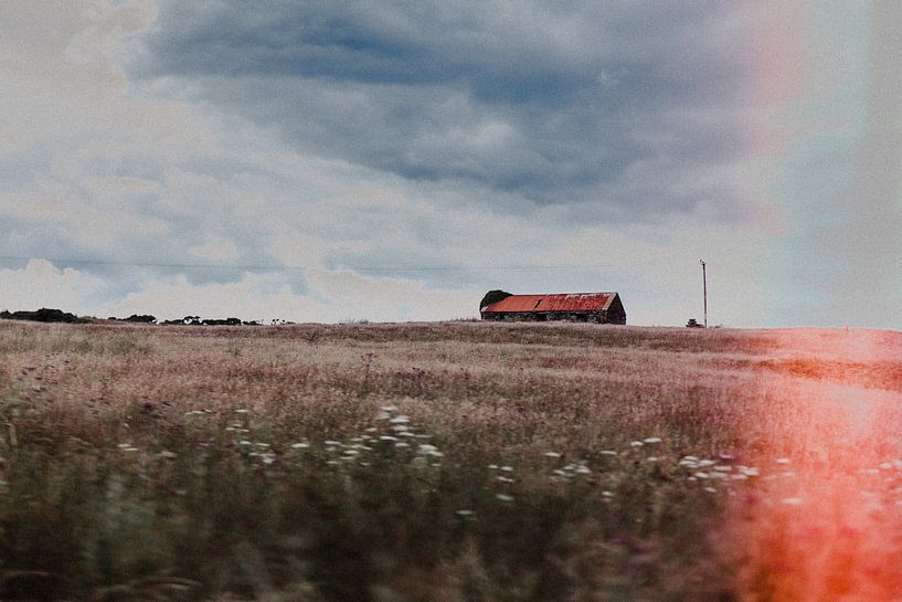 Schottische Hütte auf dem Moor von Rebecca Gruppen