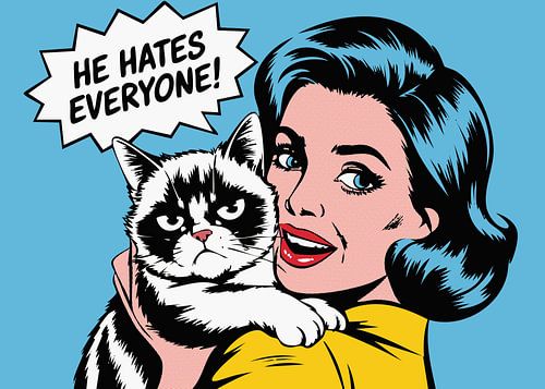 Er hasst jeden von Andreas Magnusson