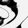 Abstract Black & White II by JINX Illustrations