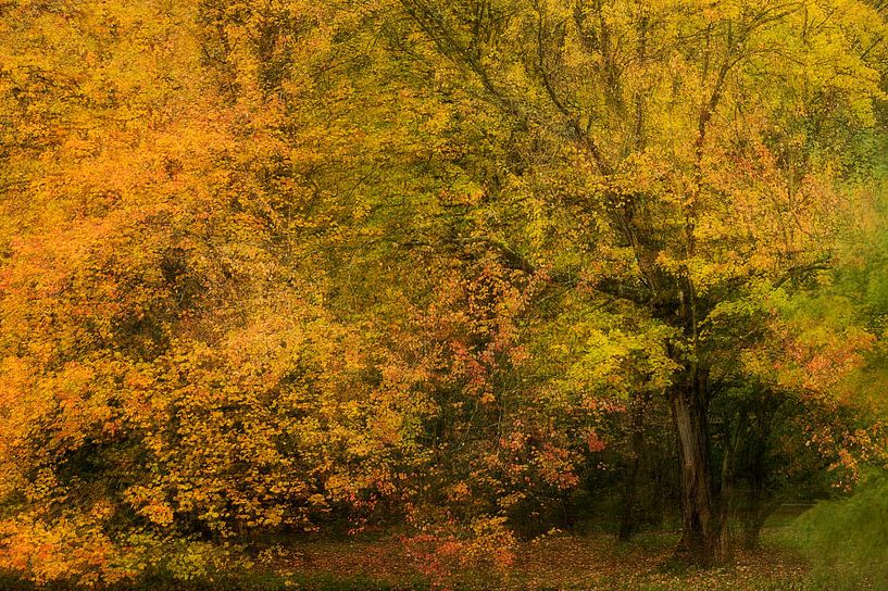 Warm feelings by Suzanne Bruinsma