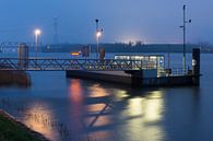 Waterbus by Elles Rijsdijk thumbnail