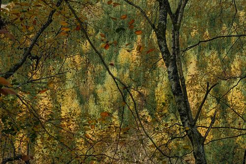 Painting with the camera