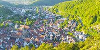 Blaubeuren op de Schwäbische Alb, Baden-Württemberg, Duitsland van Walter G. Allgöwer thumbnail
