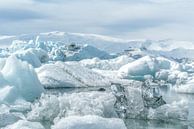 Zeehond zwemmend tussen ijsbergen en ijschotsen in IJsland van Leon Brouwer thumbnail