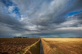 Reiderwolderpolder VIII by Fonger de Vlas