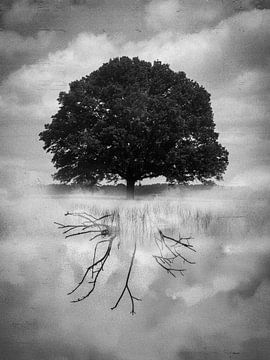 Yggdrasil von Arnold van Rooij