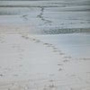 Voetstappen op het strand. van Nickie Fotografie
