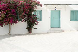 Weißes Haus und blaue Türen mit einer Bougainvillea | Reisefotografie Druck | Paros Kykladen Griechenland