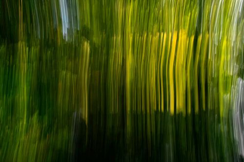 Formes de couleur