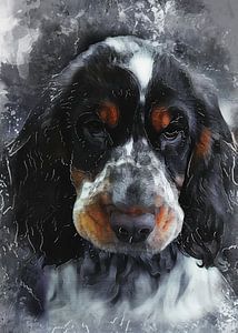 Hund 9 Tiere Kunst #Hund #Hunde
