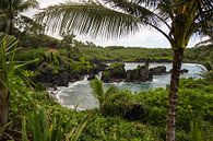 Tropische baai op Maui van Louise Poortvliet thumbnail