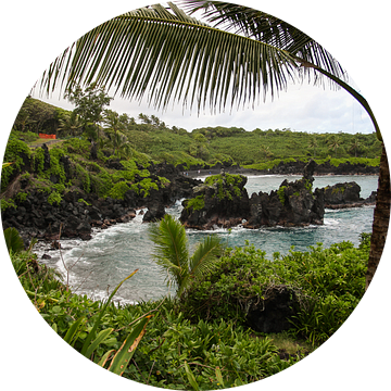 Tropische baai op Maui van Louise Poortvliet