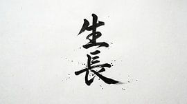 Japanese Kanji Calligraphy - Growth and Evolution (Seichou)