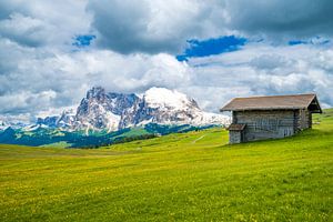 Seiser Alm-Panorama in den Dolomiten im Frühling